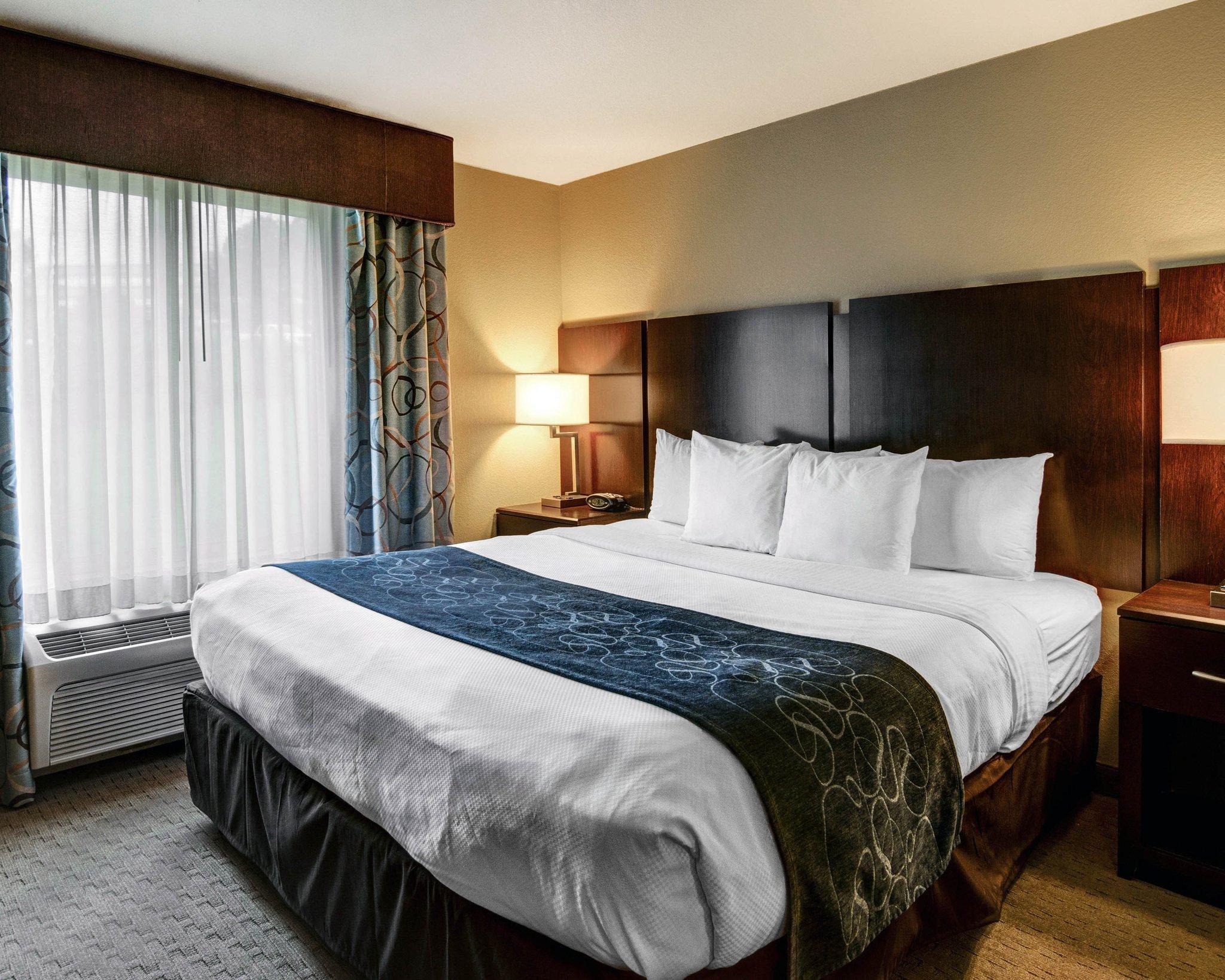 Comfort Suites Near Hot Springs Park Eksteriør bilde